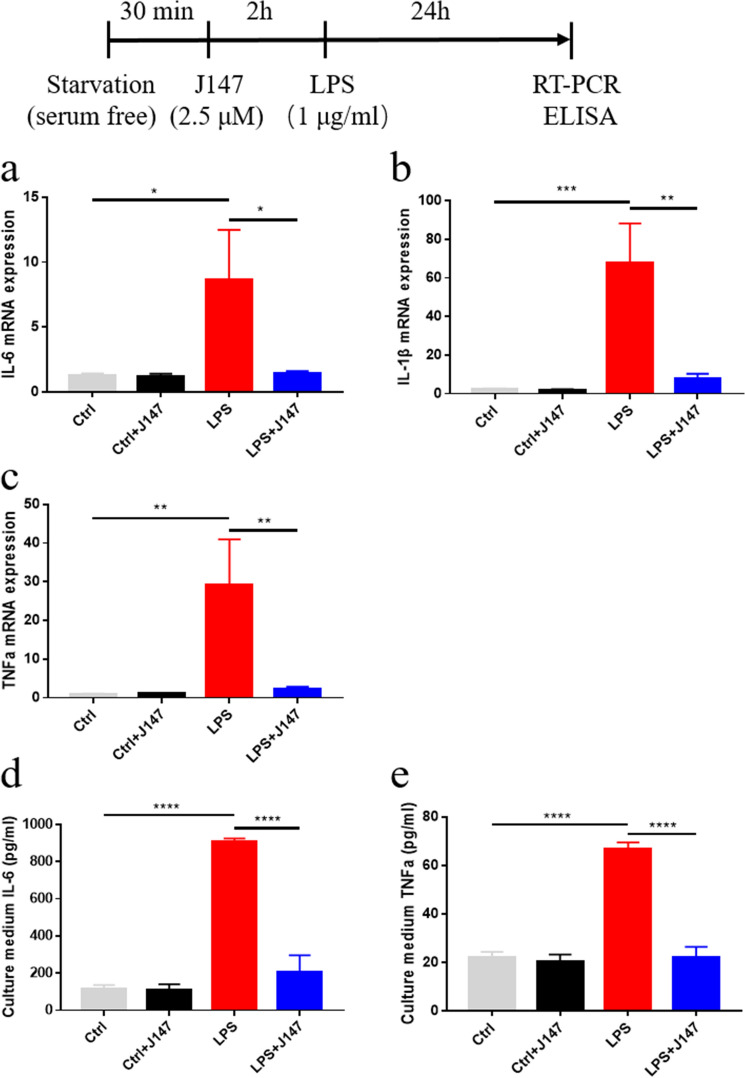 Mouse TNF α Tumor Necrosis Factor Alpha ELISA Kit FineTest ELISA Kit