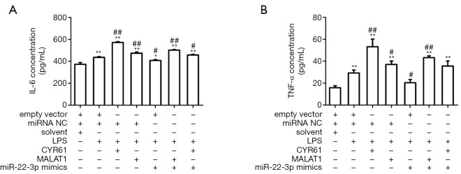 CYR61, regulated by miR-22-3p and MALAT1, promotes autophagy in HK-2 cell inflammatory model.